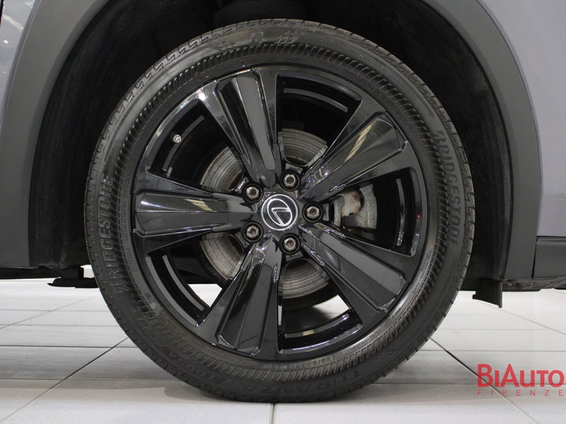 Lexus UX usata a Firenze (19)
