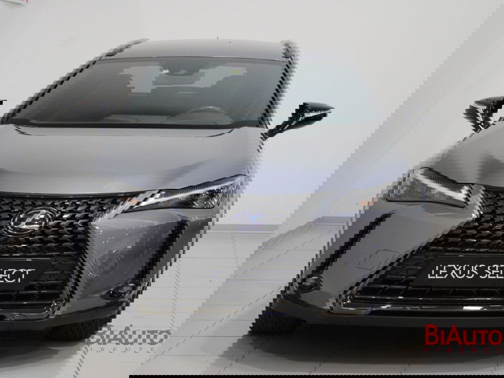 Lexus UX usata a Firenze (4)
