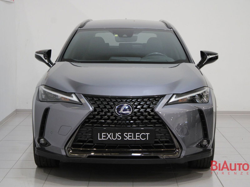 Lexus UX usata a Firenze (4)