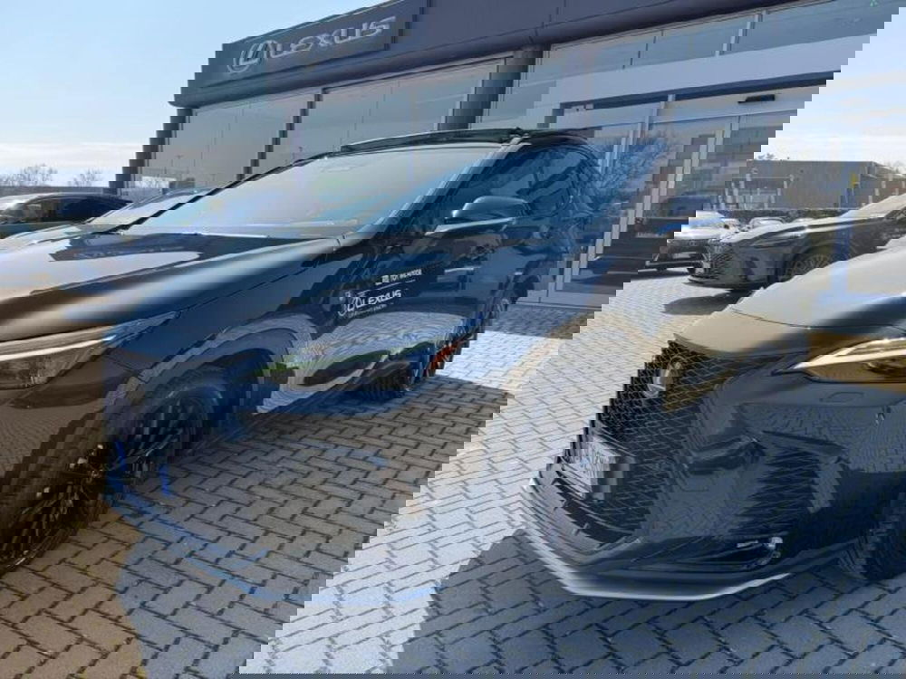 Lexus NX usata a Perugia