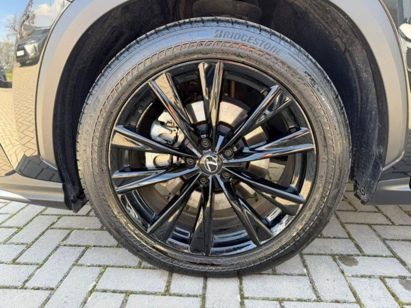 Lexus NX usata a Perugia (10)