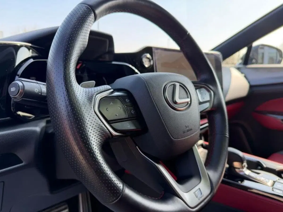 Lexus NX usata a Perugia (11)