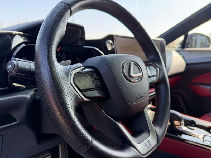 Lexus NX usata a Perugia (11)