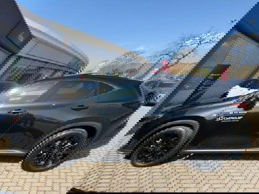 Lexus NX usata a Perugia (5)