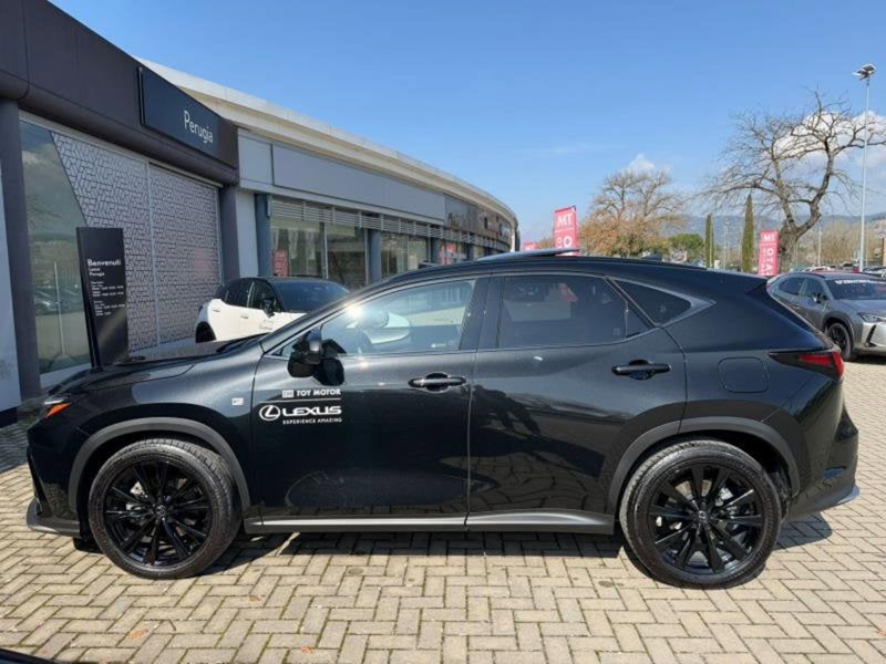 Lexus NX usata a Perugia (5)