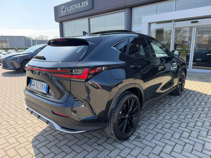 Lexus NX usata a Perugia (6)