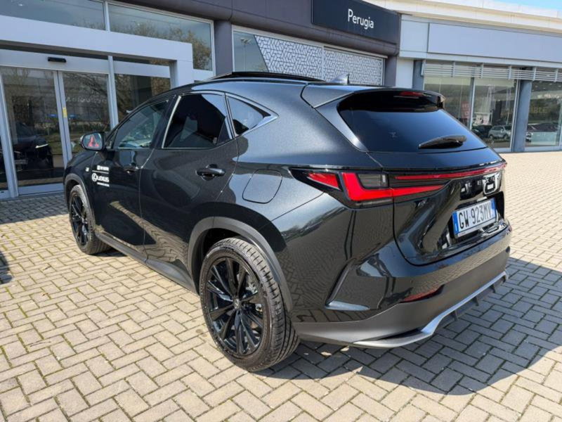 Lexus NX usata a Perugia (8)
