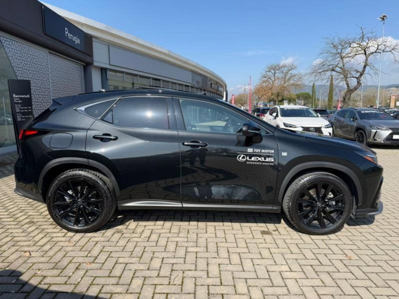 Lexus NX usata a Perugia (9)
