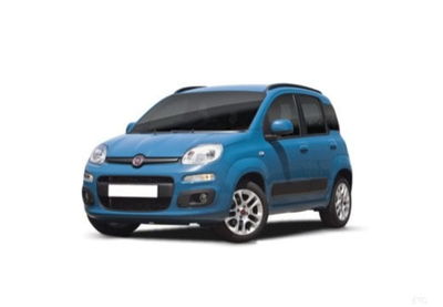 Fiat Panda 1.0 FireFly S&amp;S Hybrid City Cross del 2021 usata a Palermo