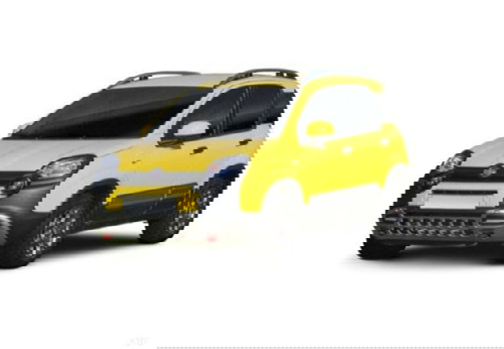 Fiat Panda usata a Palermo (2)