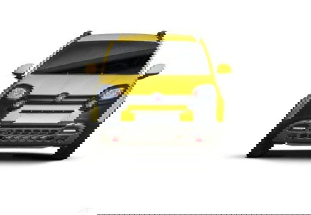 Fiat Panda usata a Palermo (8)