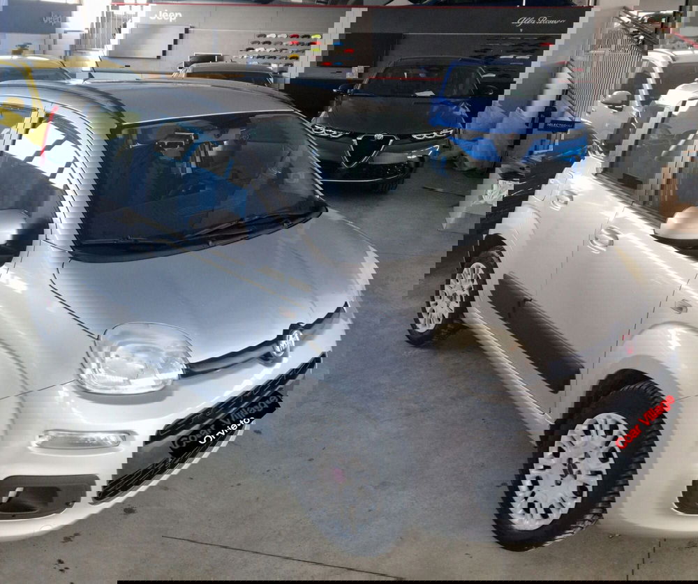 Fiat Panda usata a Terni