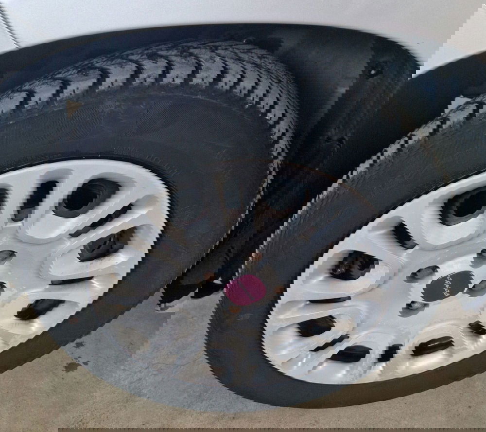 Fiat Panda usata a Terni (14)