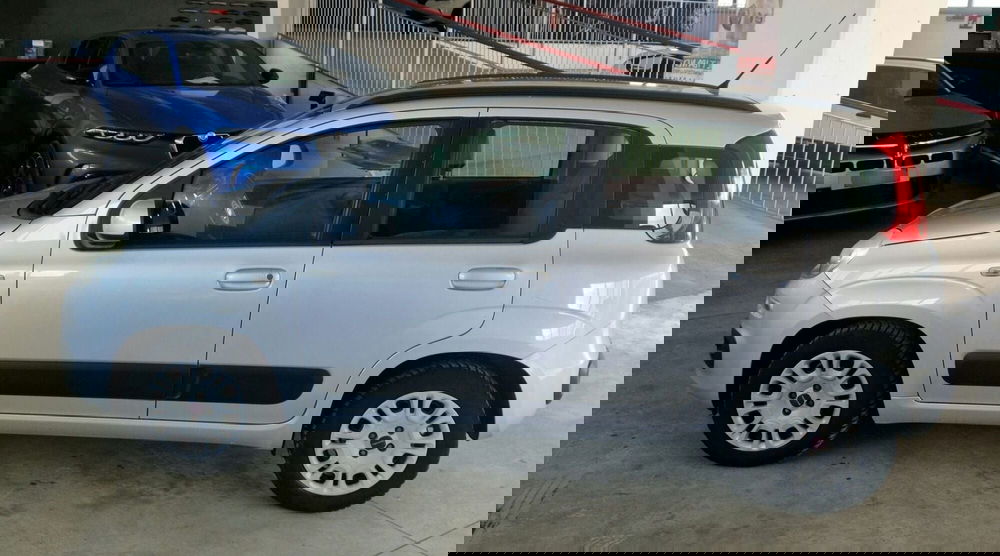 Fiat Panda usata a Terni (3)