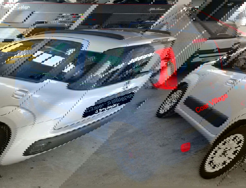 Fiat Panda usata a Terni (4)