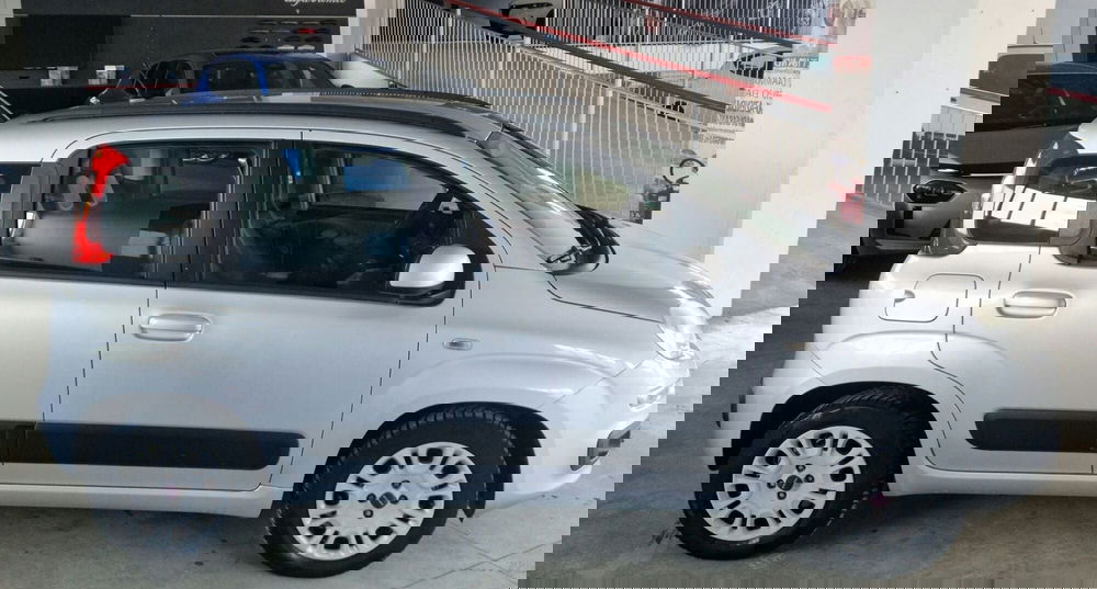 Fiat Panda usata a Terni (6)