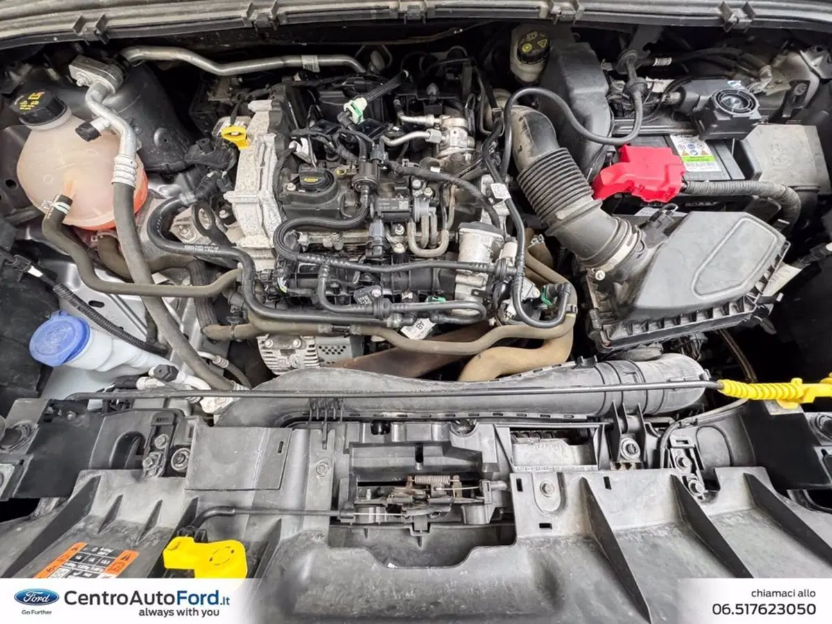 Ford Puma usata a Roma (13)