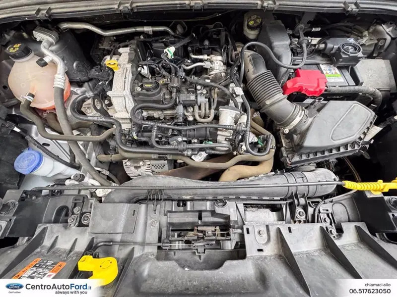 Ford Puma usata a Roma (13)
