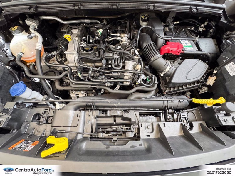 Ford Puma usata a Roma (11)