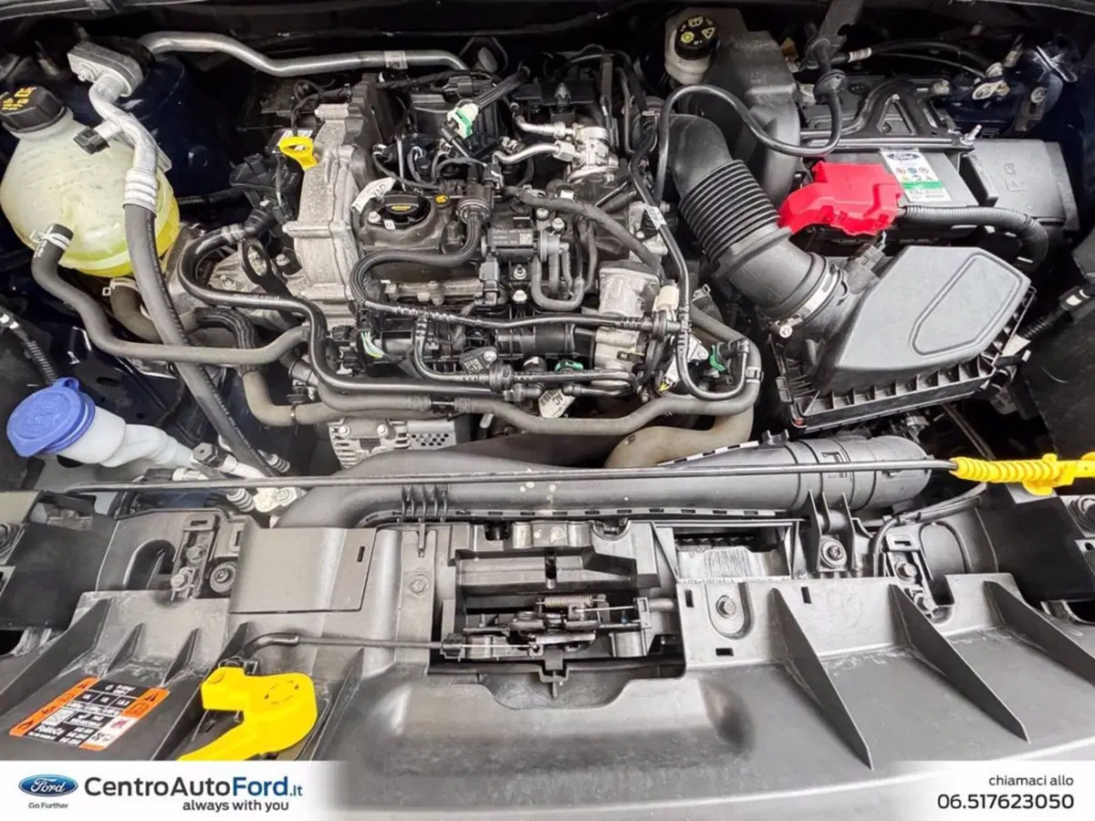 Ford Puma usata a Roma (11)