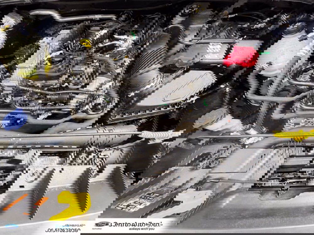 Ford Puma usata a Roma (12)