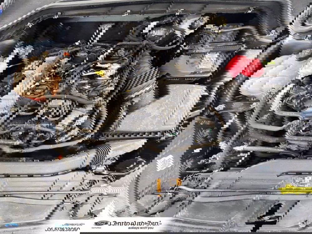 Ford Focus usata a Roma (12)