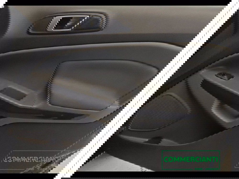 Ford EcoSport usata a Catania (13)