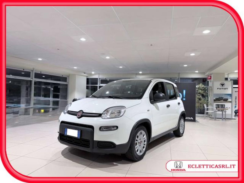 Fiat Panda usata a Savona