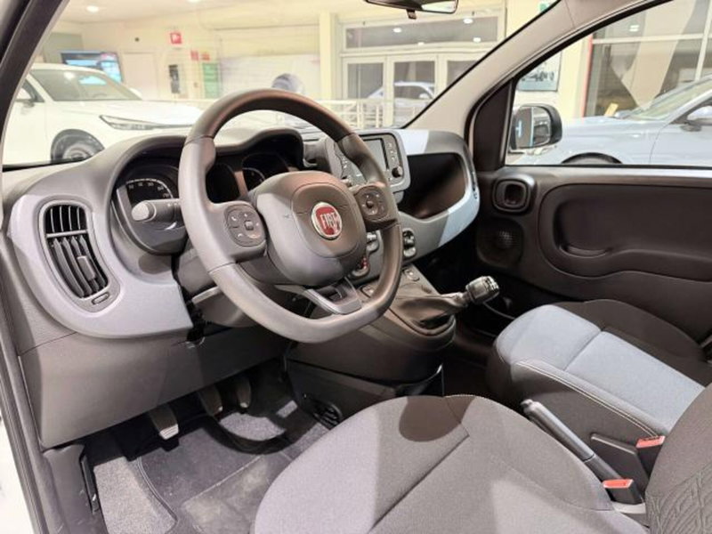Fiat Panda usata a Savona (10)