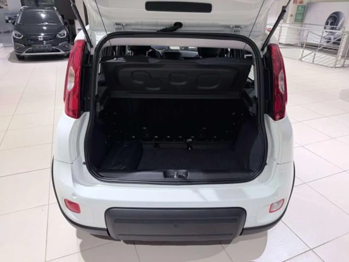 Fiat Panda usata a Savona (15)