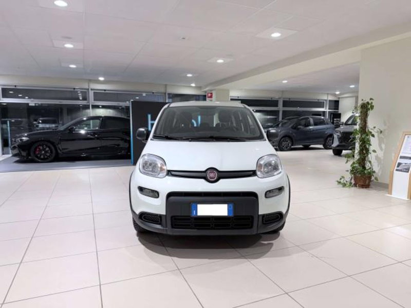 Fiat Panda usata a Savona (2)