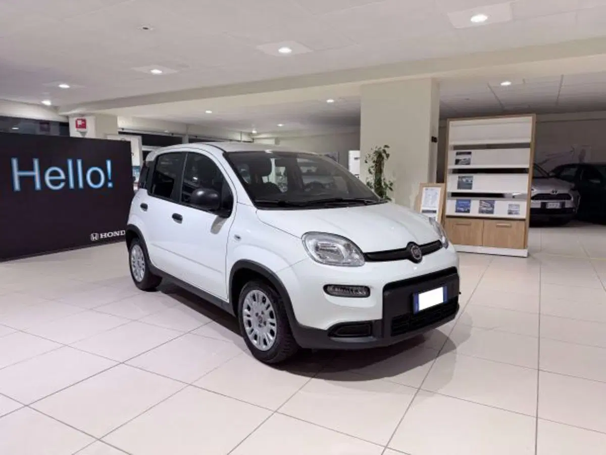Fiat Panda usata a Savona (3)