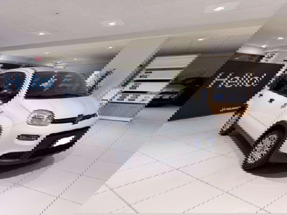Fiat Panda usata a Savona (3)
