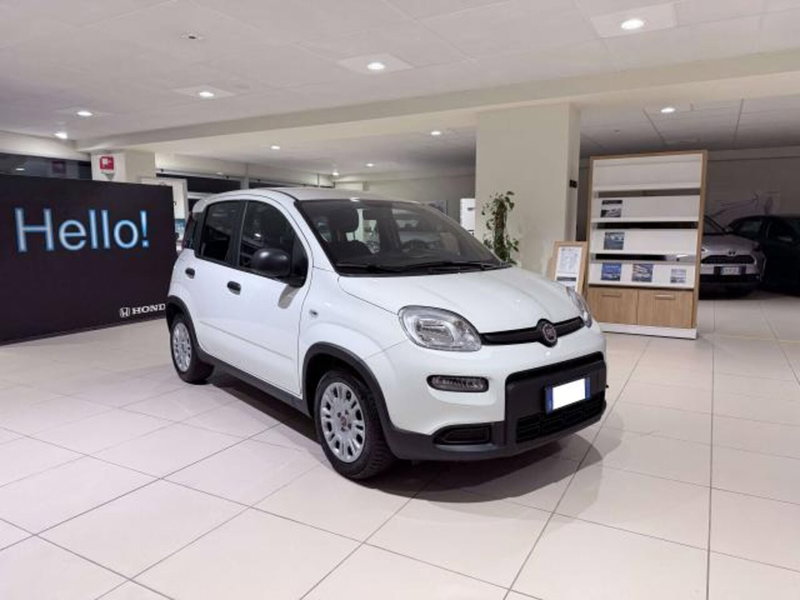 Fiat Panda usata a Savona (3)