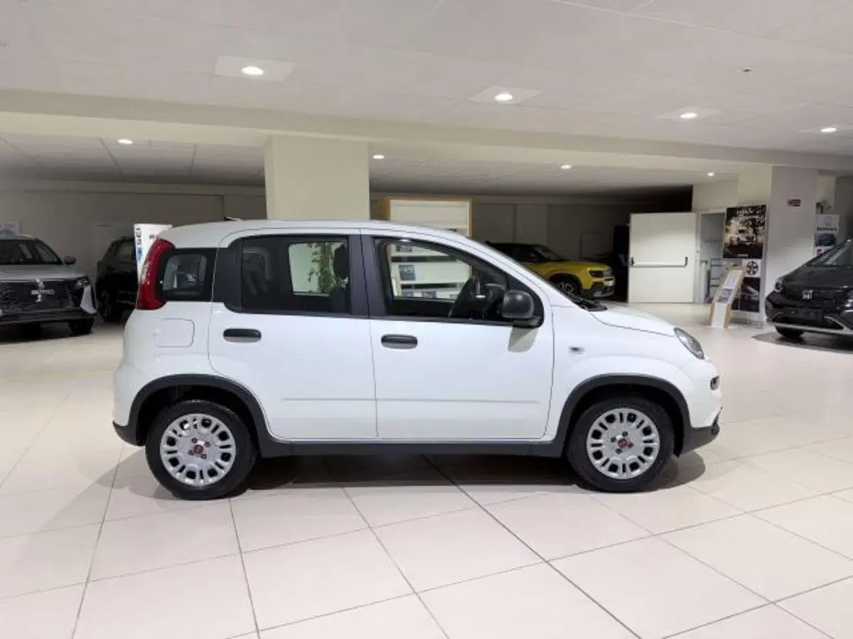 Fiat Panda usata a Savona (4)