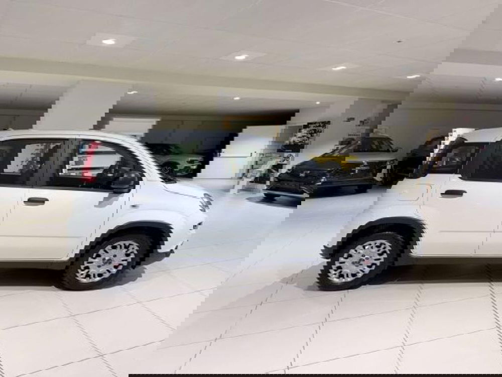 Fiat Panda usata a Savona (4)