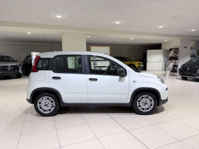 Fiat Panda usata a Savona (4)