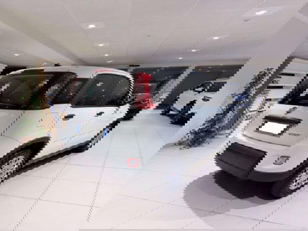 Fiat Panda usata a Savona (5)