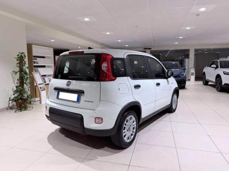 Fiat Panda usata a Savona (5)