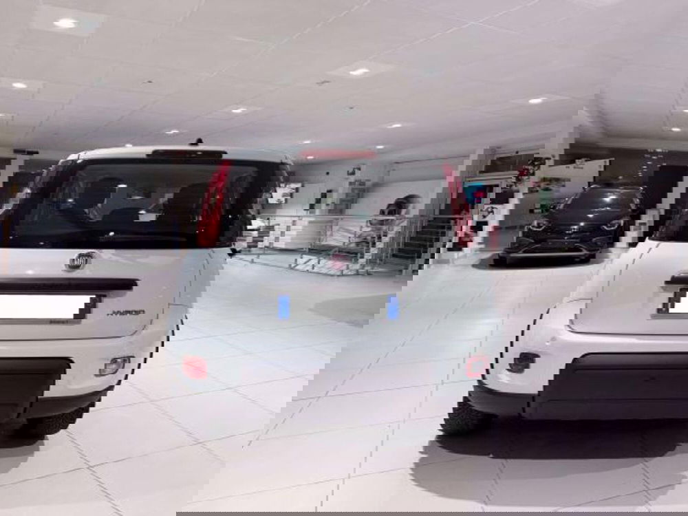 Fiat Panda usata a Savona (6)