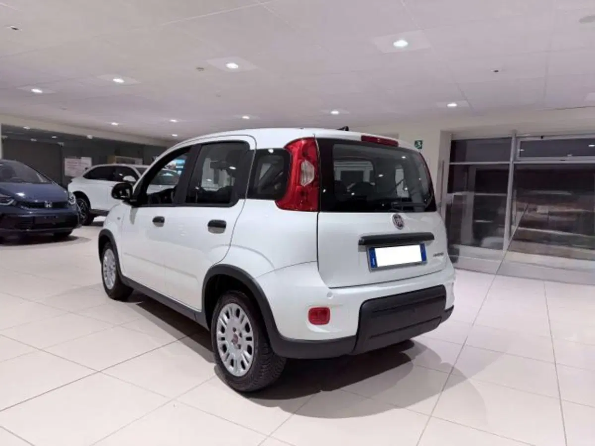 Fiat Panda usata a Savona (7)