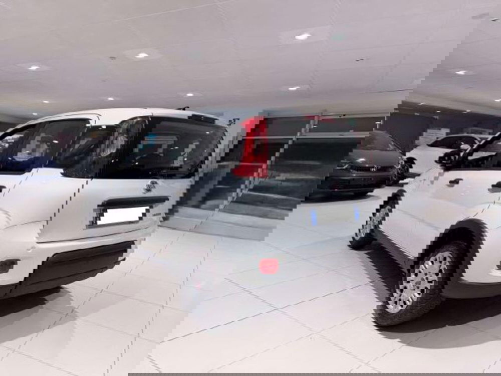 Fiat Panda usata a Savona (7)