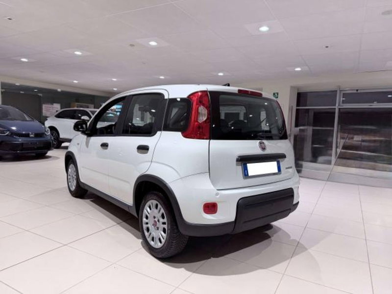 Fiat Panda usata a Savona (7)