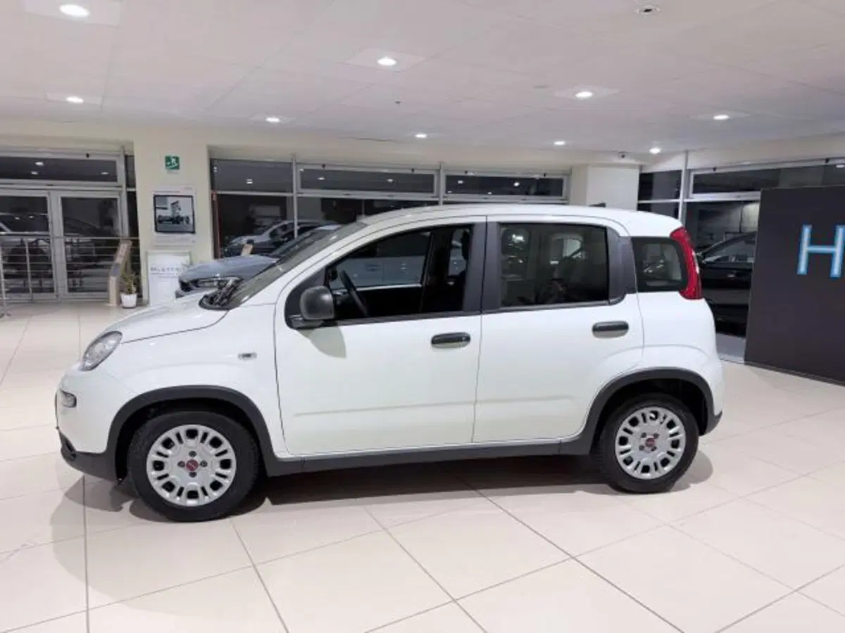 Fiat Panda usata a Savona (8)