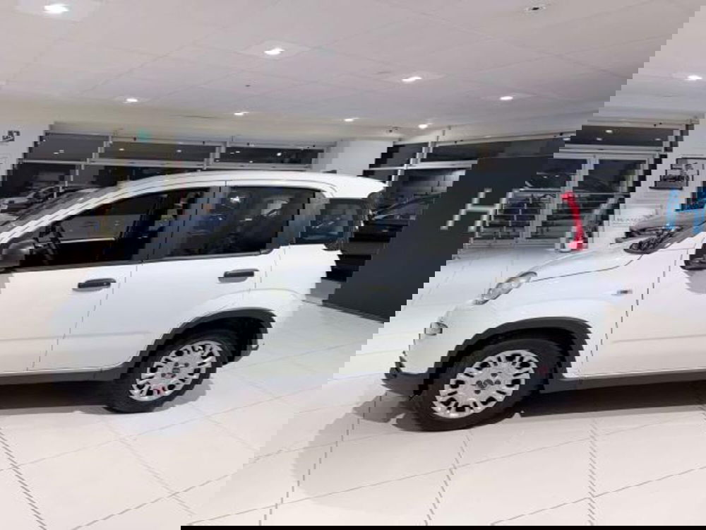 Fiat Panda usata a Savona (8)