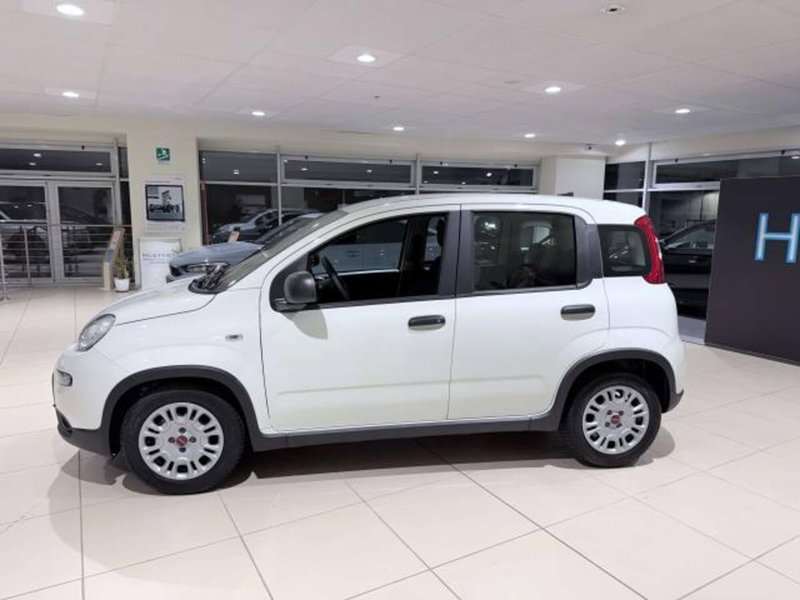 Fiat Panda usata a Savona (8)