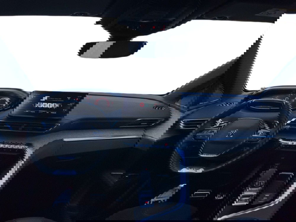 Peugeot 3008 usata a Torino (11)