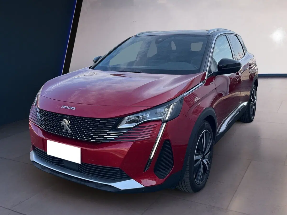 Peugeot 3008 usata a Torino (2)