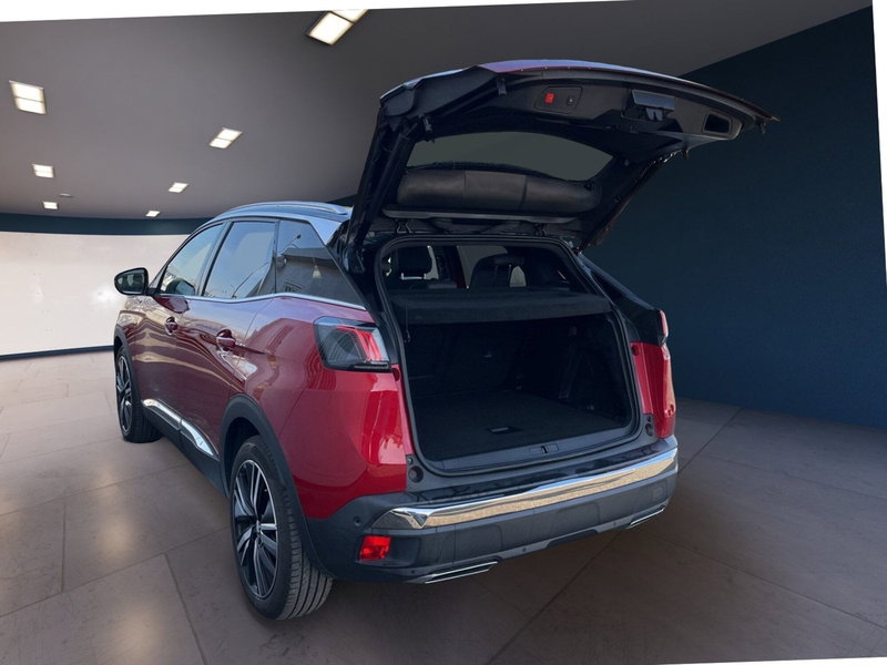 Peugeot 3008 usata a Torino (7)