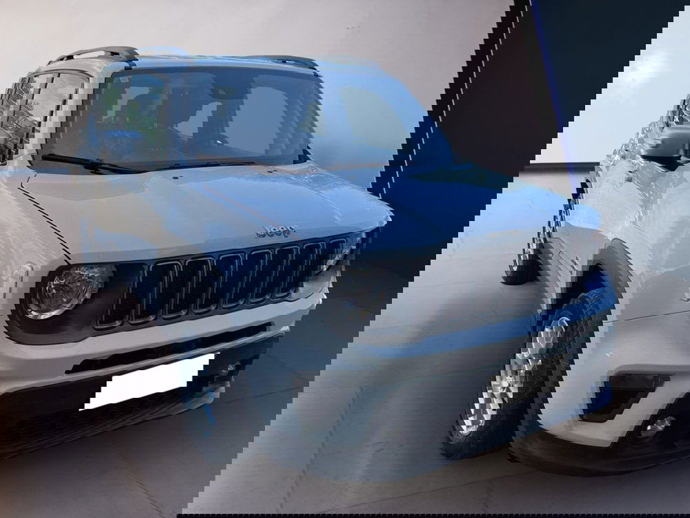 Jeep Renegade usata a Torino (3)